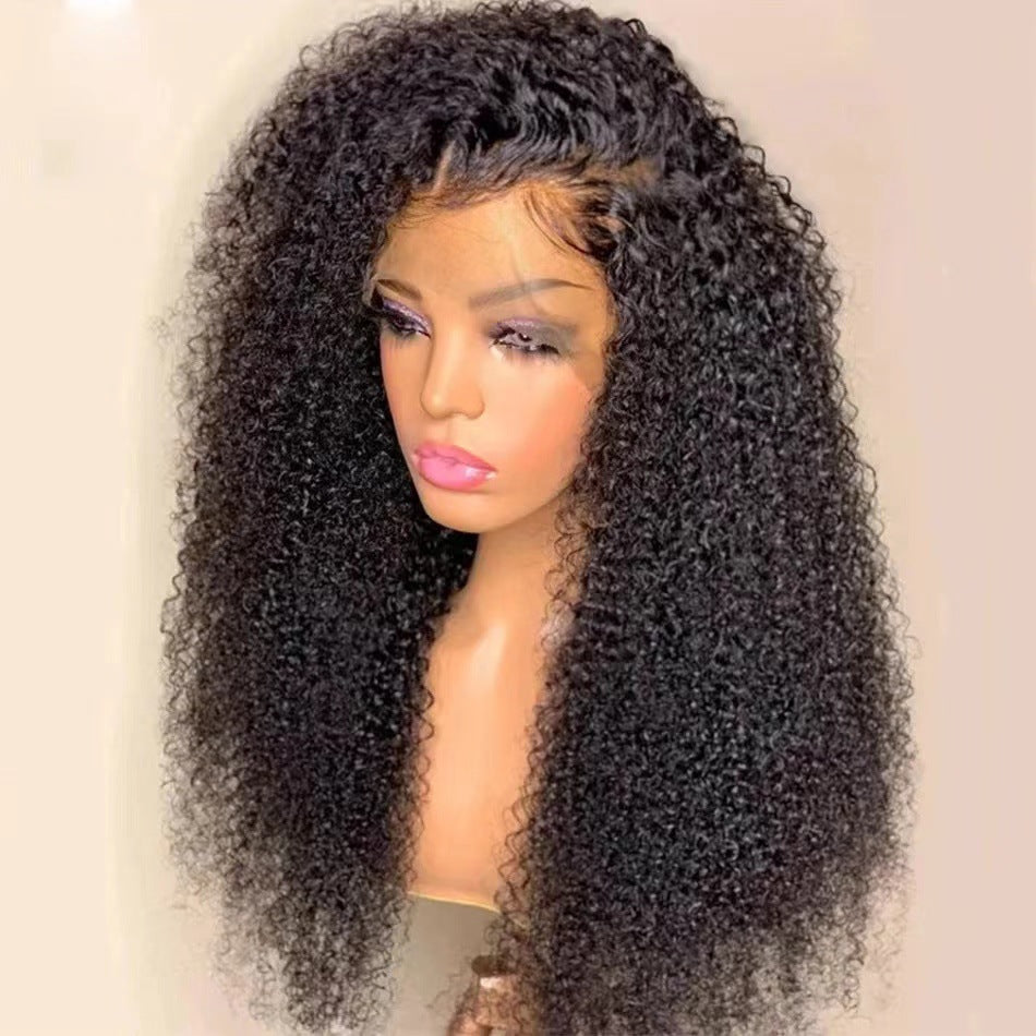 Women's Wigs With Small Curly Hair & Front Lace,Extra Parting Space,Freestyle Edge,Pre- Plucked natural hair Line.12 inches,14 inches,16 inches,18 inches,20 inches,22 inches,24 inches,26 inches,28 inches,30 inches,32 inches.
